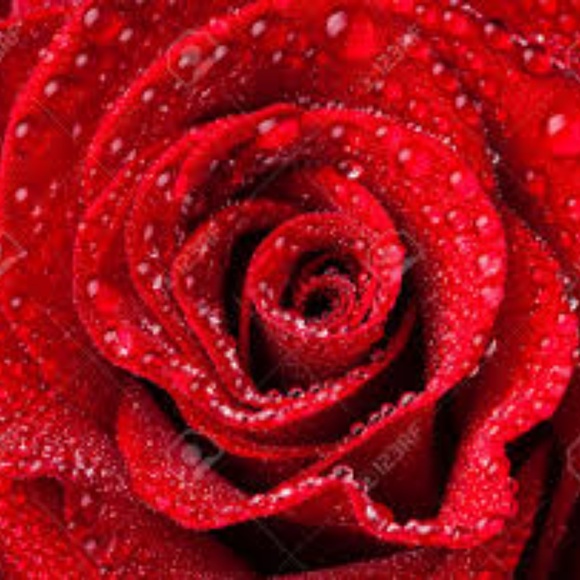 Meet your Posher, Dalys - Picture 1 of 1